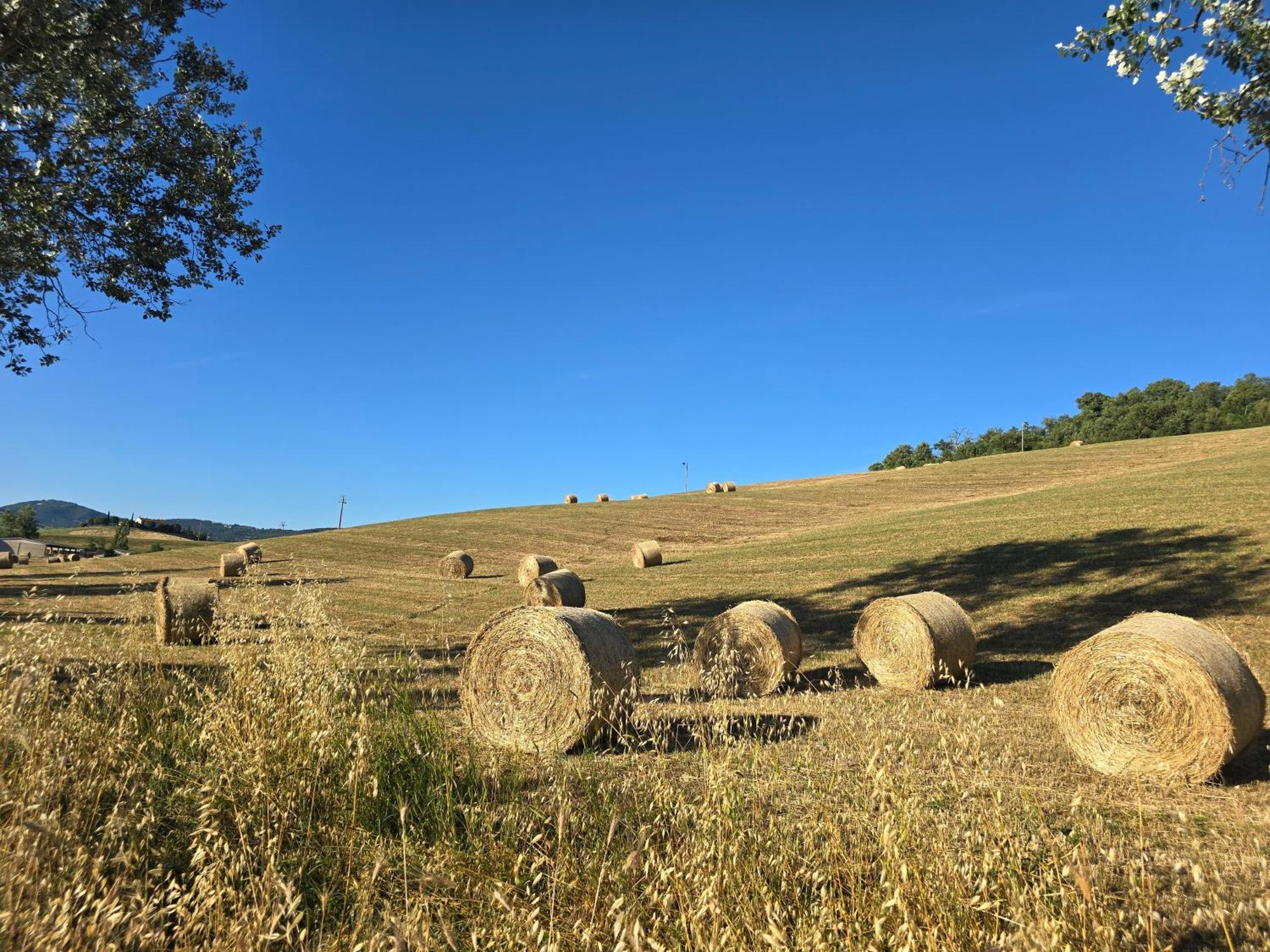 Finestra Della Val D'Orcia Διαμέρισμα Contignano Εξωτερικό φωτογραφία